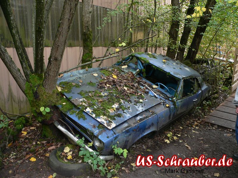 2008 Autofriedhof Messerli Gürbetal 2008 Autofriedhof Messerli Gürbetal