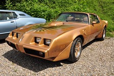 Firebird224